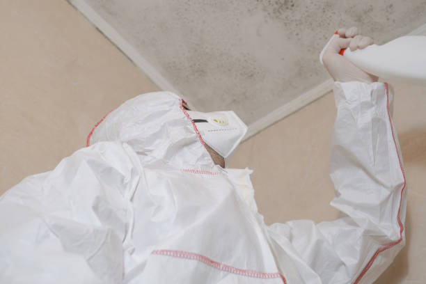 Best Commercial Mold Removal  in Kinsey, AL